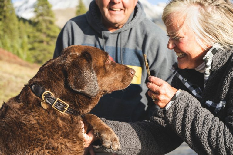 a man petting a dog