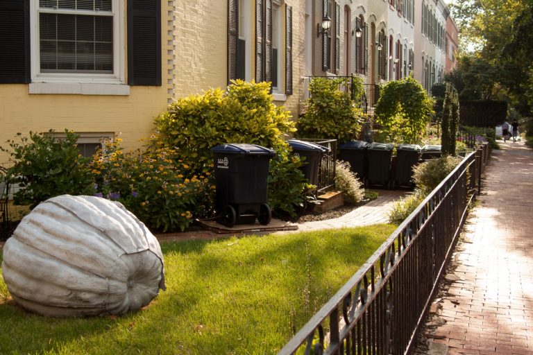 a large white ball on a sidewalk