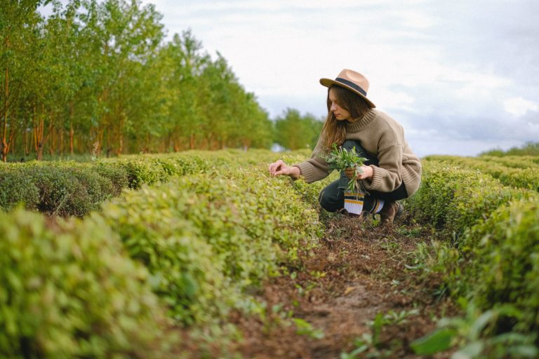 How to Grow Your Garden Business